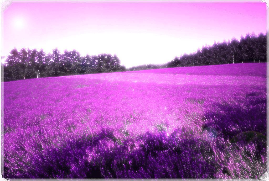 0d658f3c1935fb91d462256c.jpg