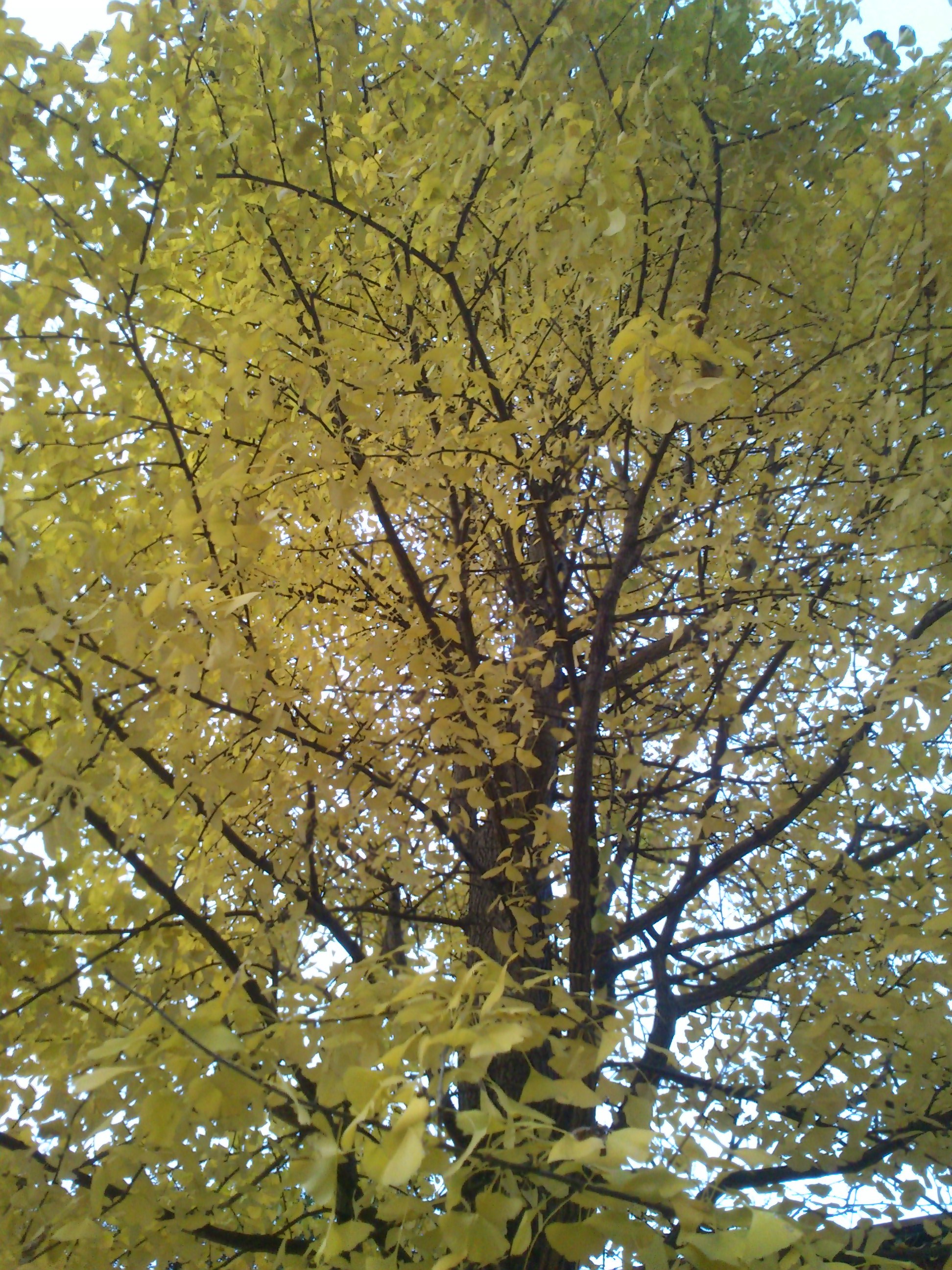 DSC_0014.JPG