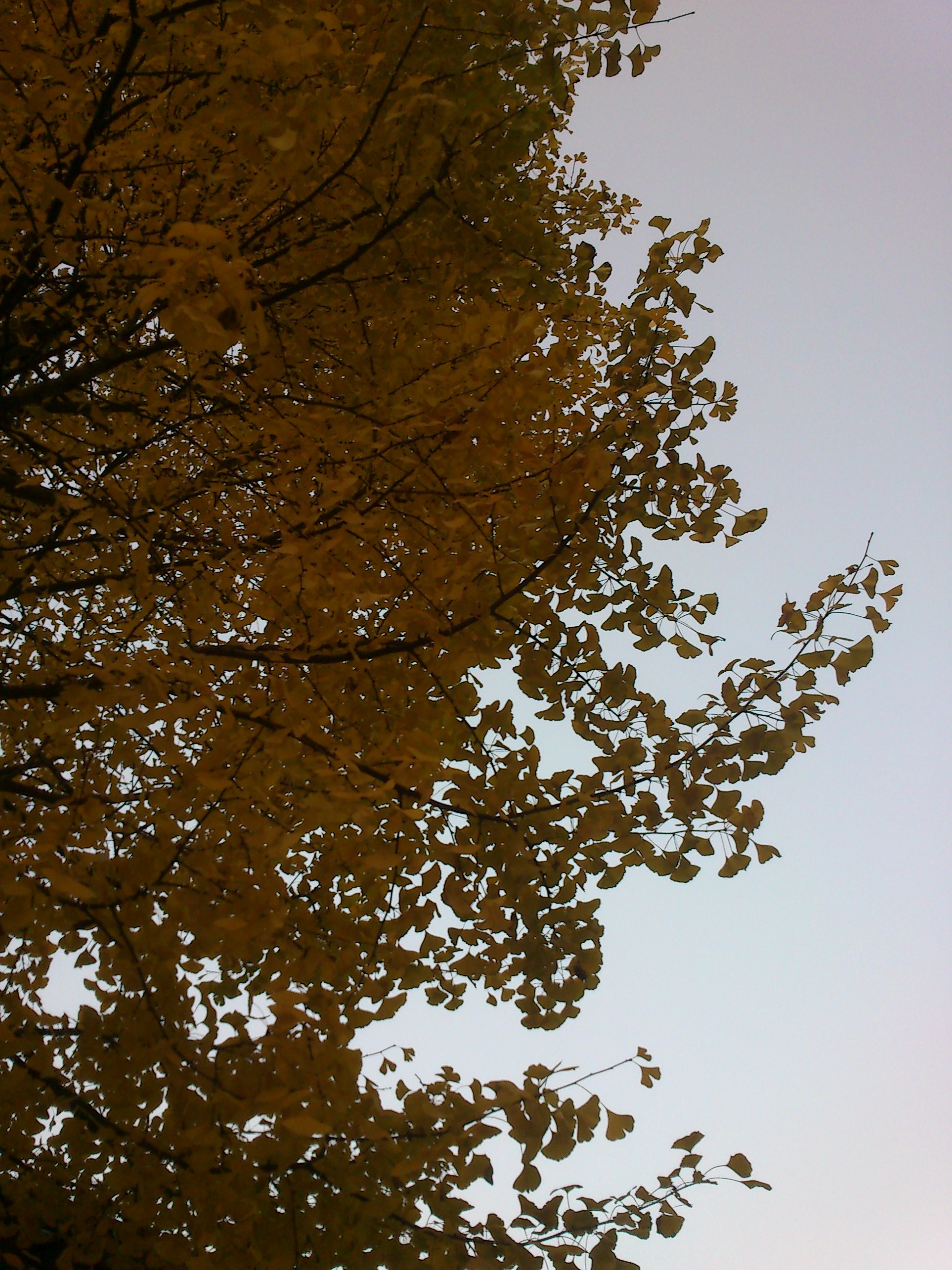 DSC_0015.JPG