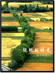 6873f52a942ccc1b.jpg
