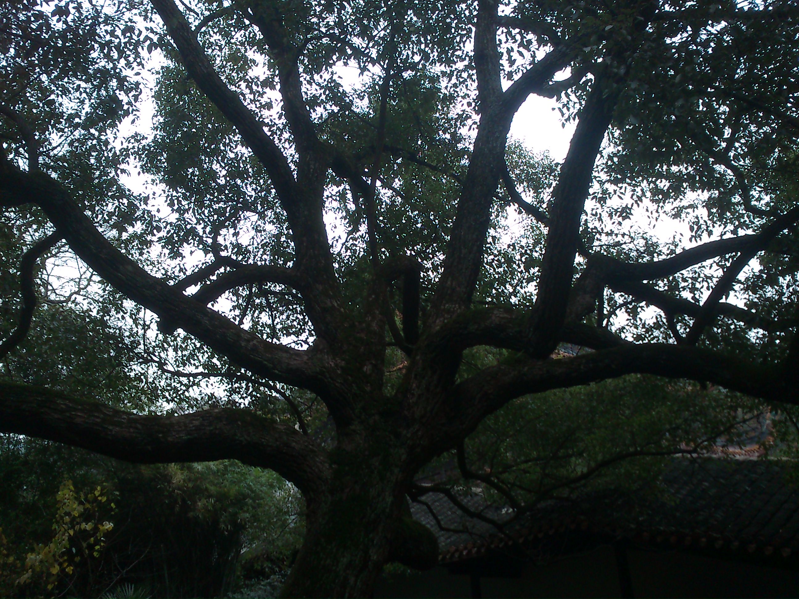 DSC_0157.JPG