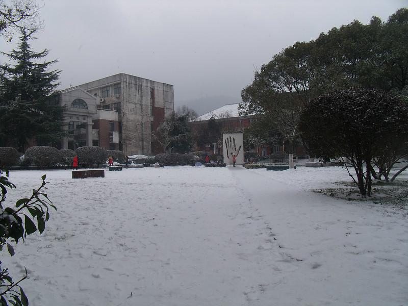 xuehua04.jpg