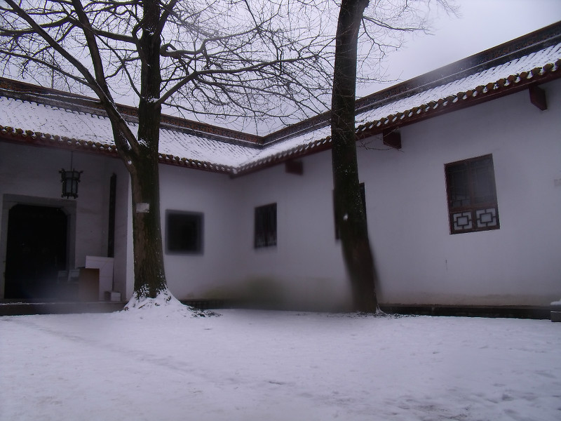 xuehua08.jpg