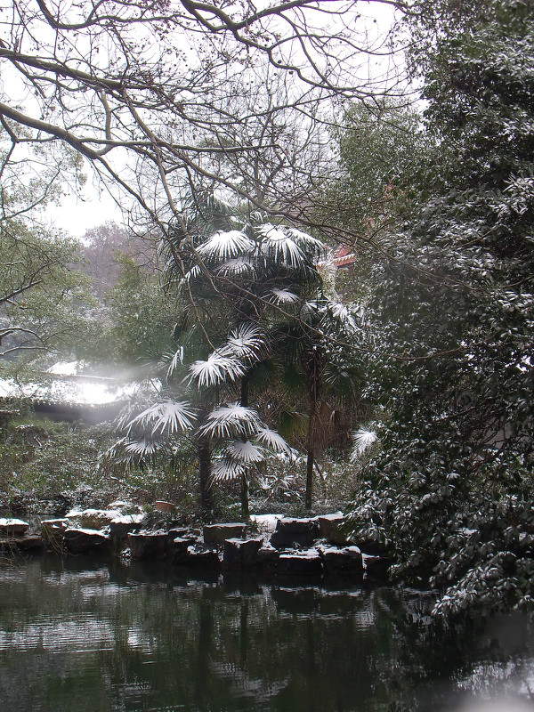 xuehua09.jpg