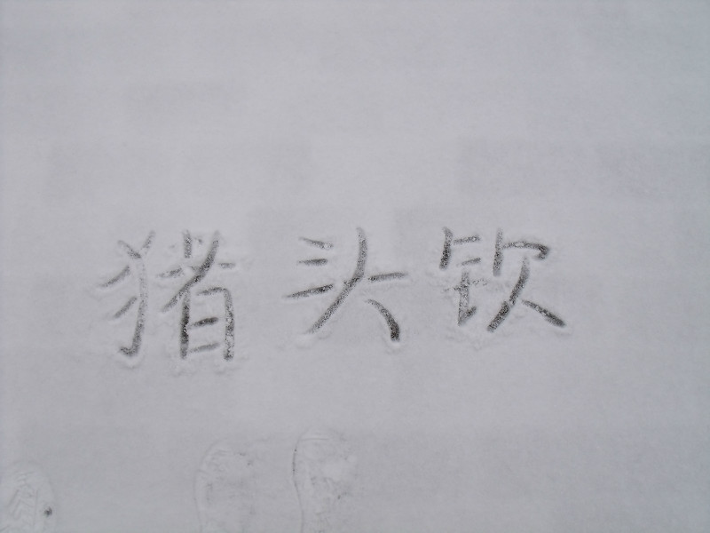 xuehua18.jpg