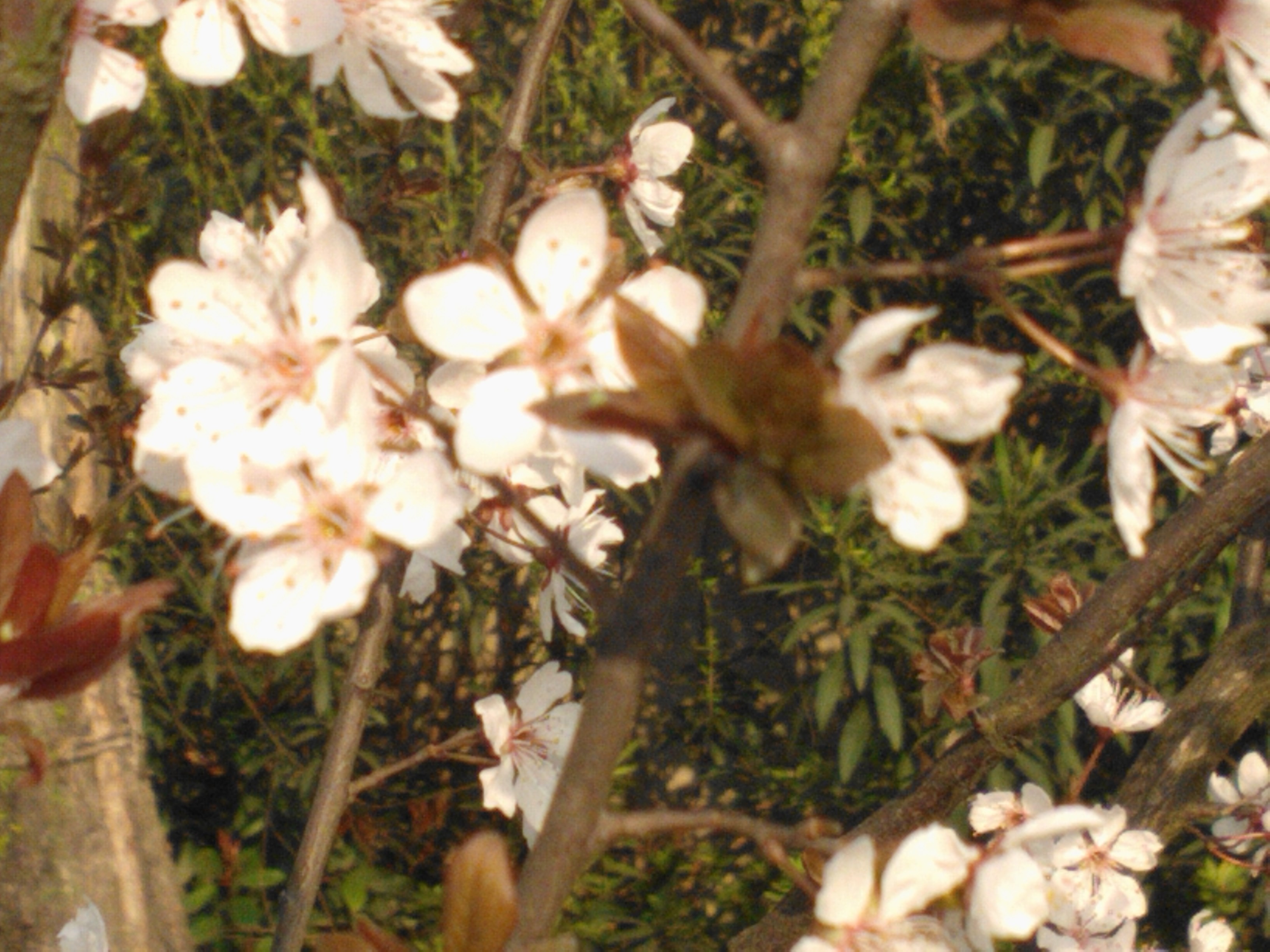 WP_000253.jpg
