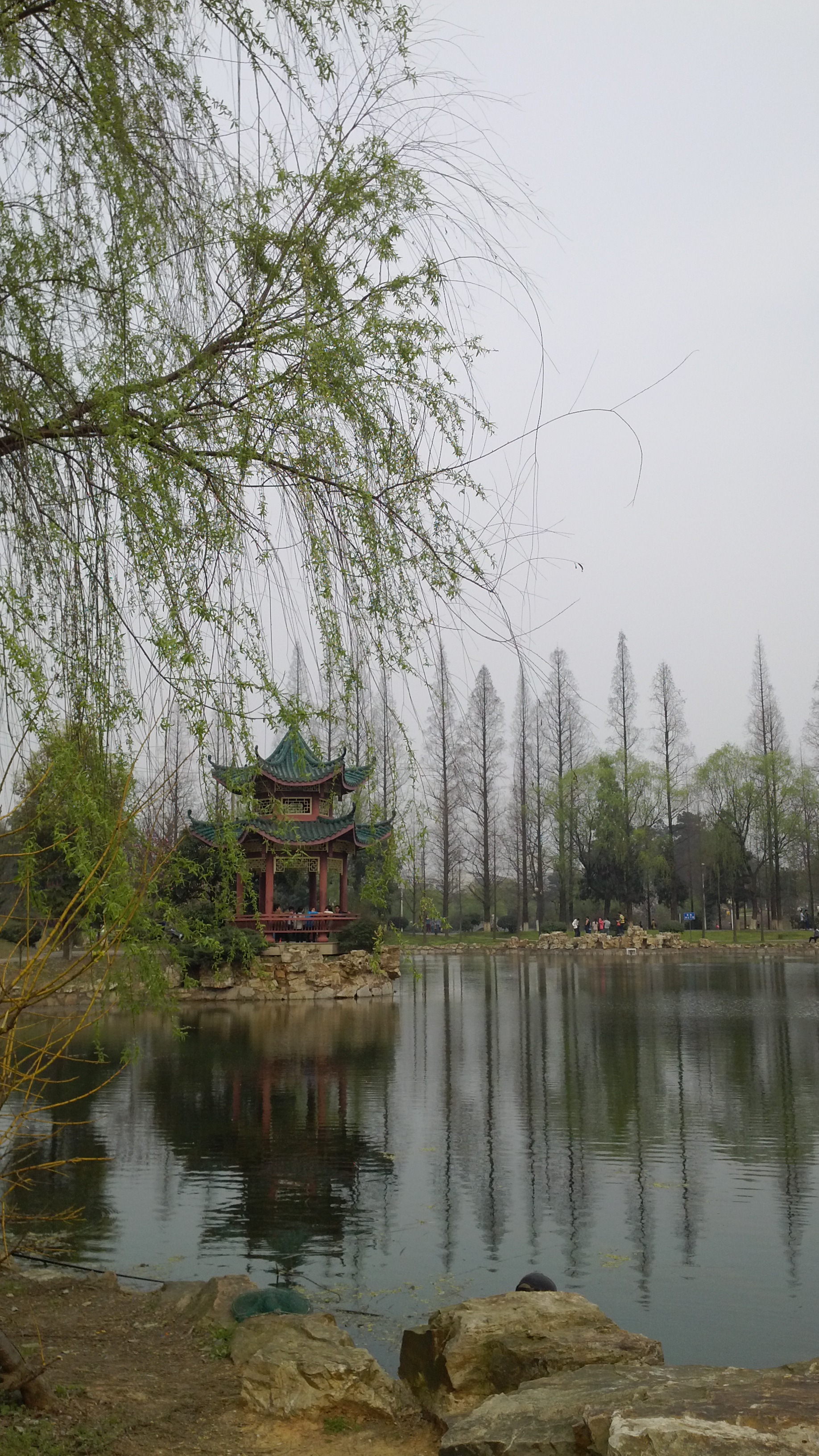 IMG_20130309_151140.jpg