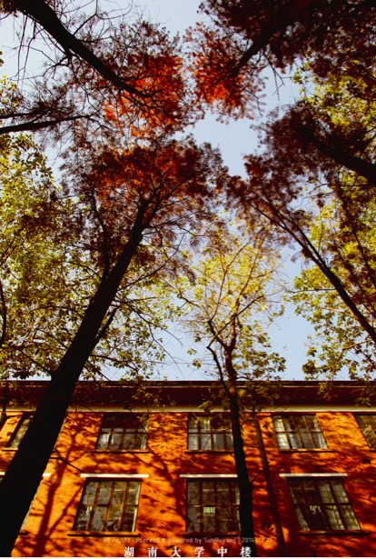 image013.png