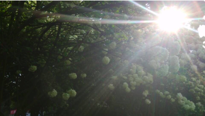 image019.png