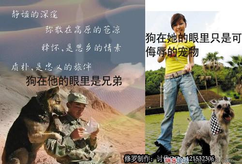 500x340_191668.jpg