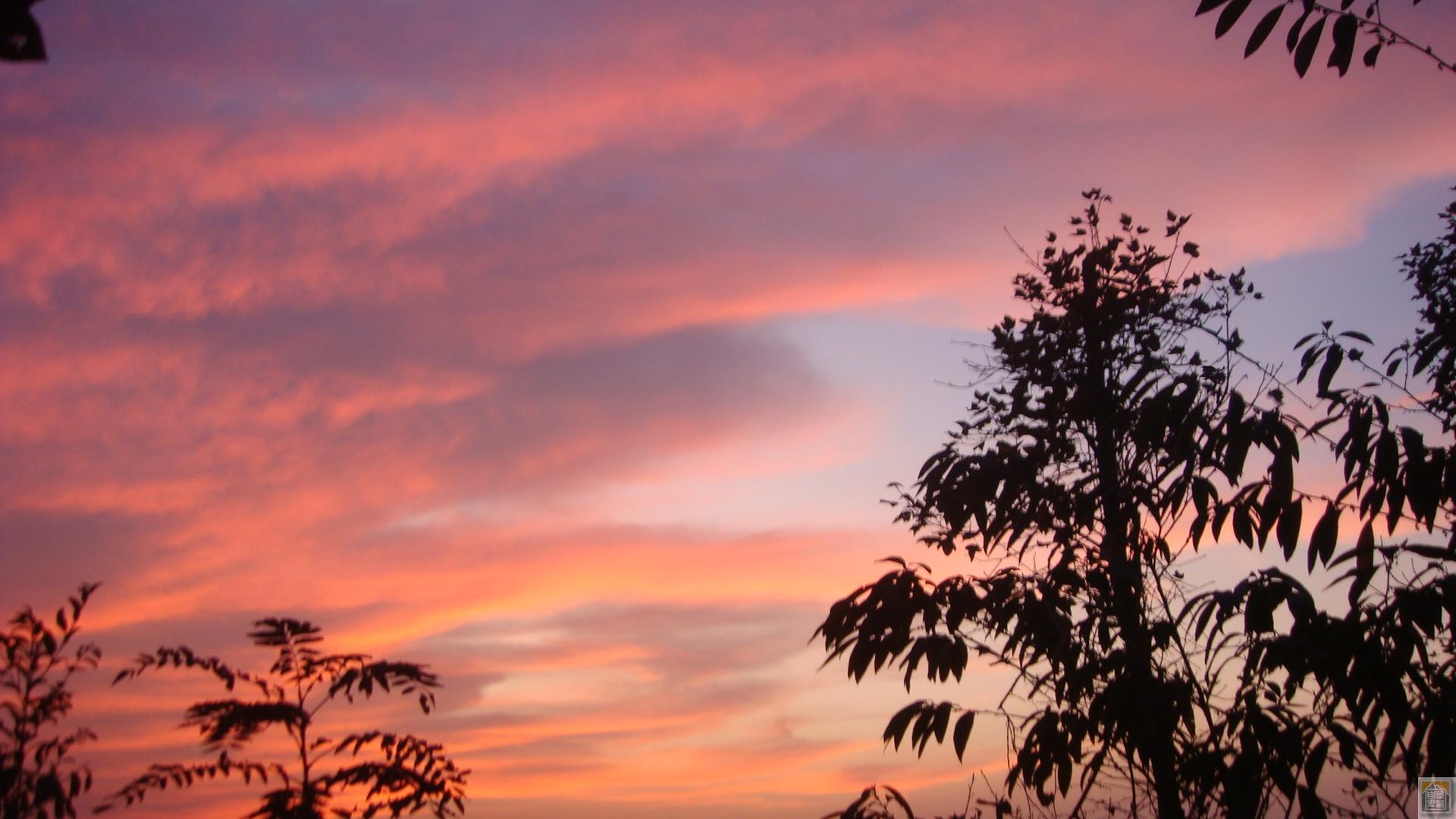 DSC03376.JPG