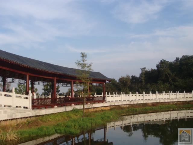 DSC03310.JPG