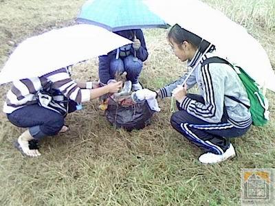 IMG0399A.JPG