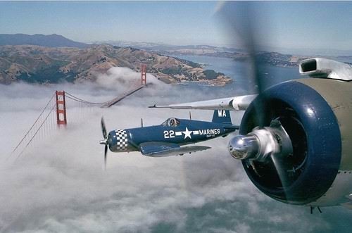 large_cgKa_13107i206096.jpg