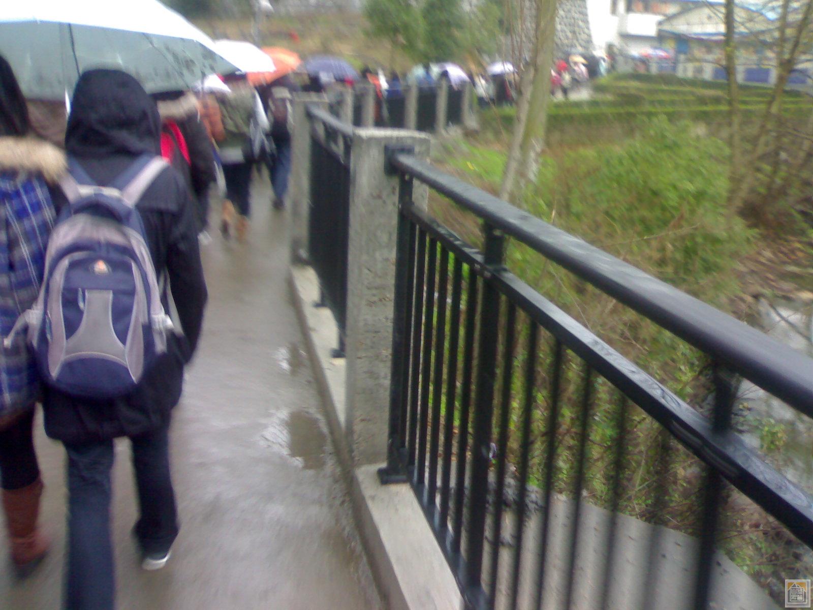 20100303840.jpg