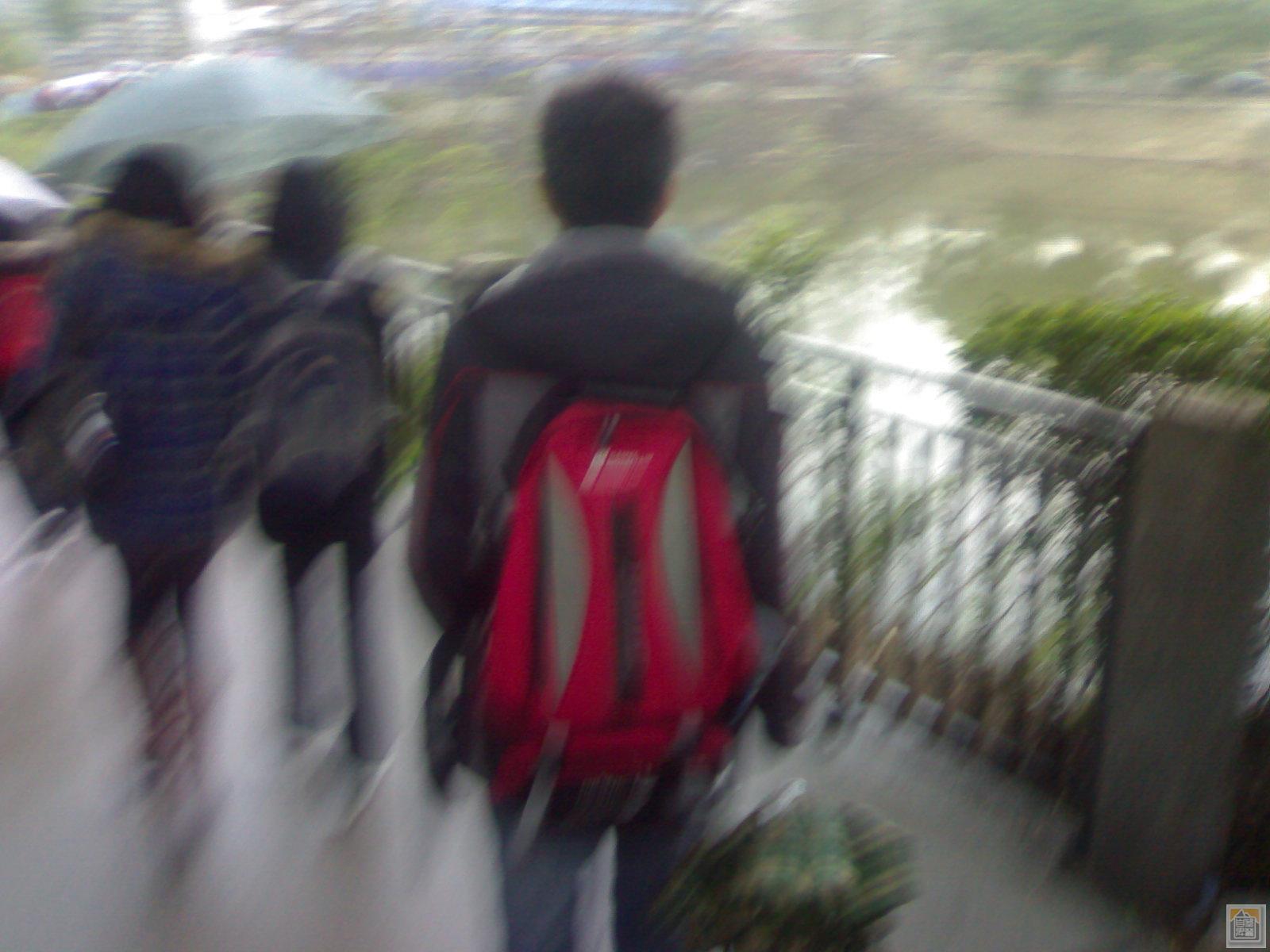 20100303839.jpg