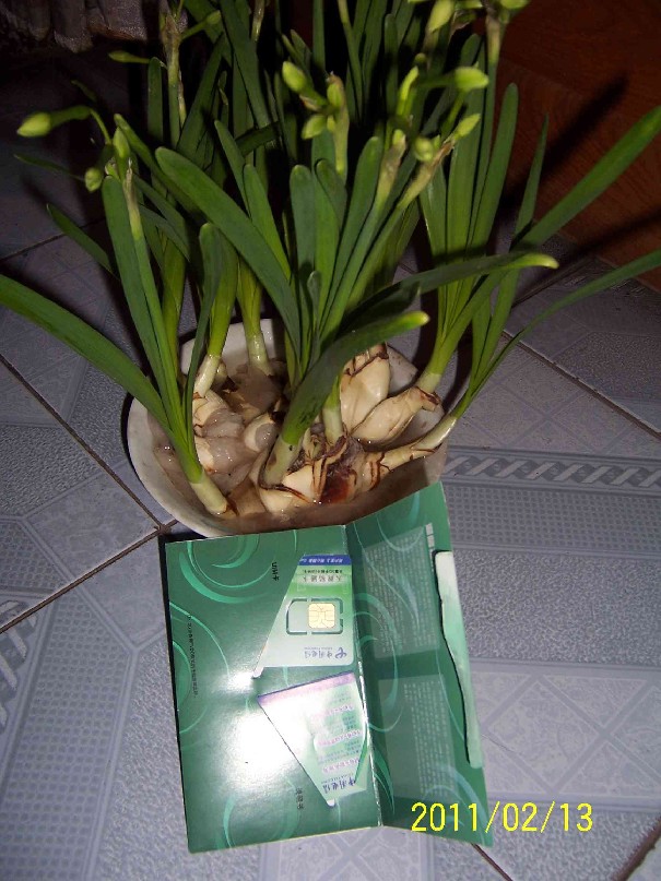 100_2671.jpg