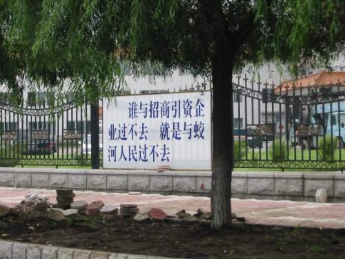 24476175.jpg
