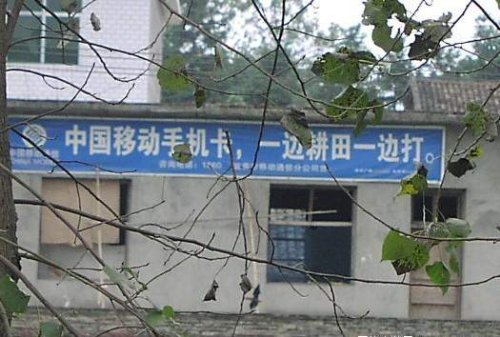 24476179.jpg
