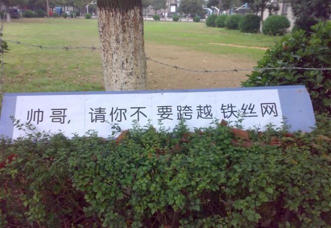 1299131795637.jpg