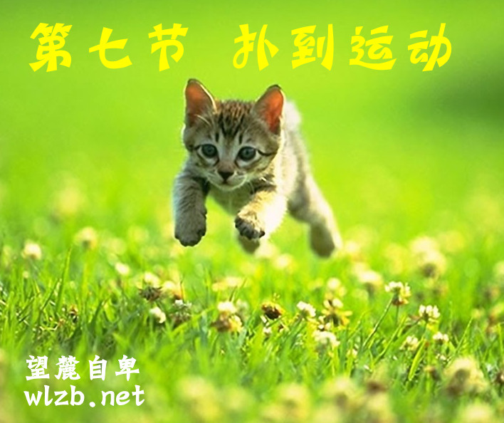 跳跃_副本.jpg